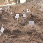 На Волині завершили ексгумацію у Волі Островецькій: виявили останки 48 жертв Другої світової війни