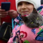 Лише 36% молодих українців у Польщі планують повернутися додому — опитування